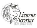 logo-la-licorne-de-victorine
