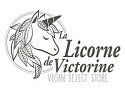 La Licorne de Victorine