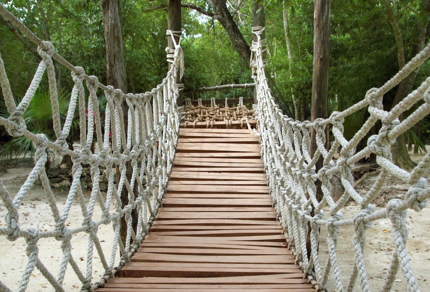 Zwei Elefanten in Freiheit in der afrikanischen Steppe vor dem Kilimanjaro
Two elephants in freedom in the African steppe in front of Kilimanjaro