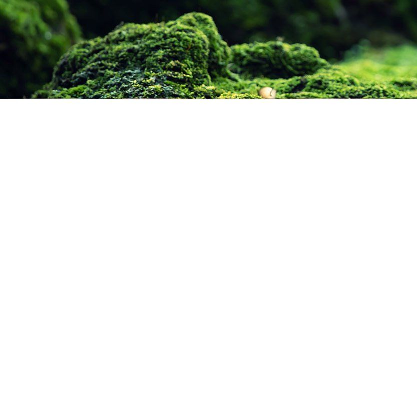 Darkmassage, Tantramassage, Tantra, Massage, Yoni, Lingam, Prostatamassage