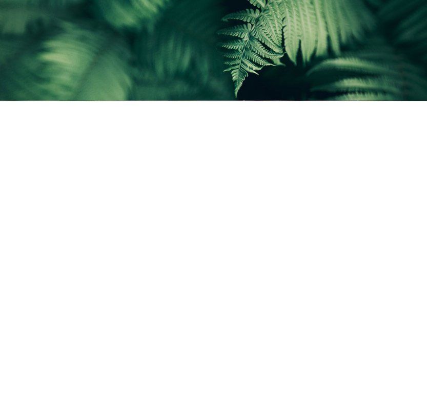 Männermassage, Tantramassage, Tantra, Massage, Yoni, Lingam