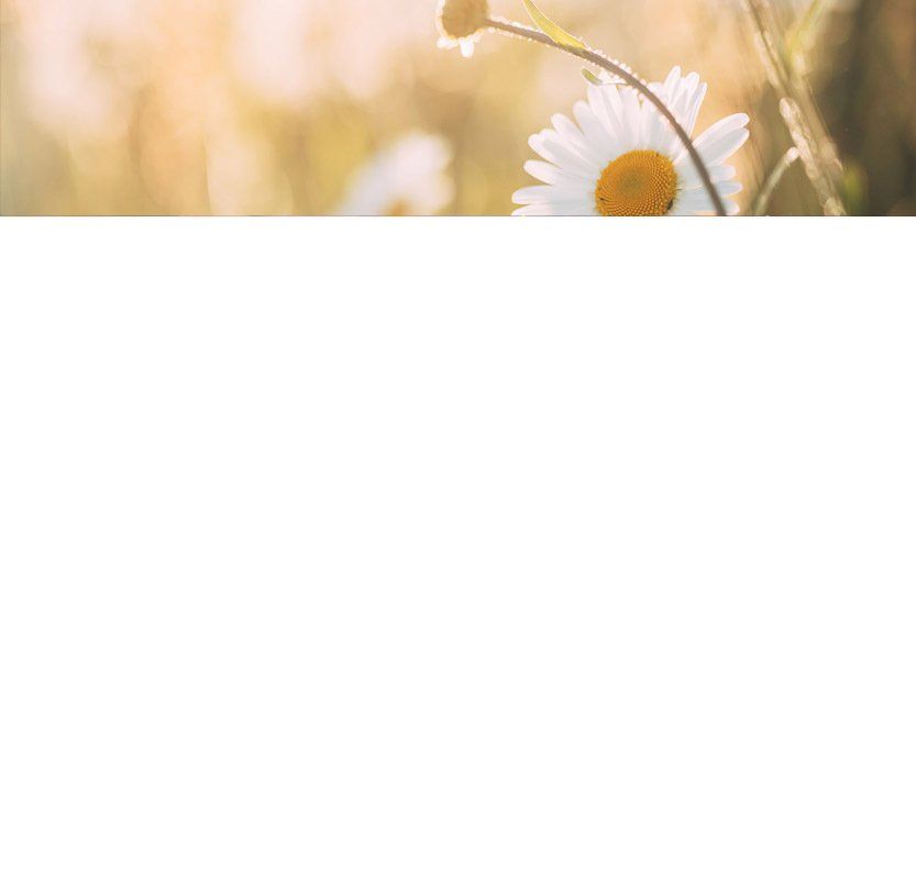 Sexuelle Tiefenentspannung, Tantramassage, Tantra, Massage, Yoni, Lingam