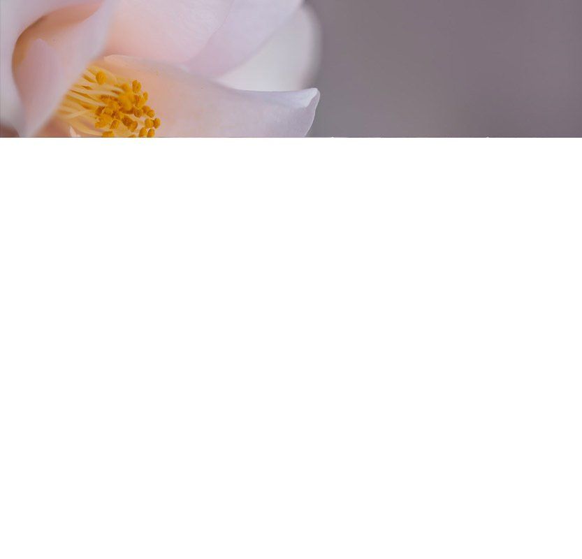 Tao Massage, Tantramassage, Tantra, Massage, Yoni, Lingam, Prostatamassage