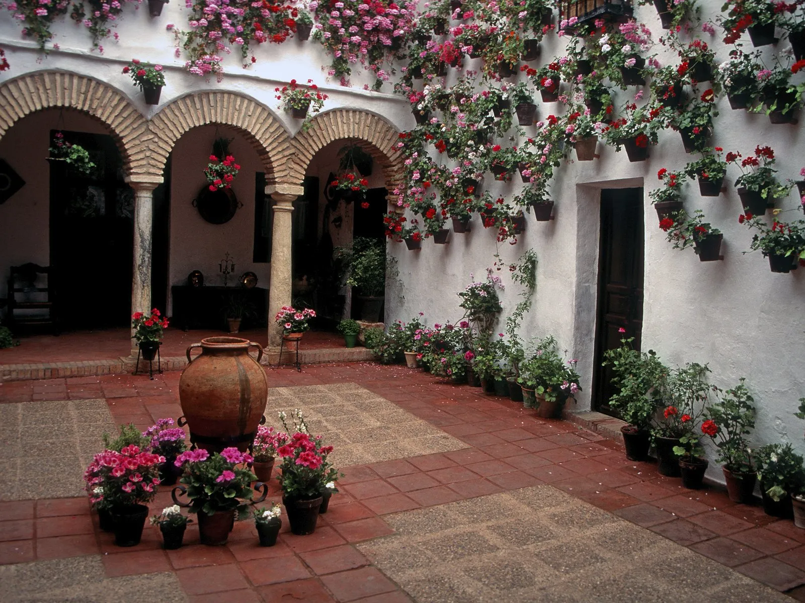 Viele Blumentöpfe hängen in einer Hinterhof an den Wänden