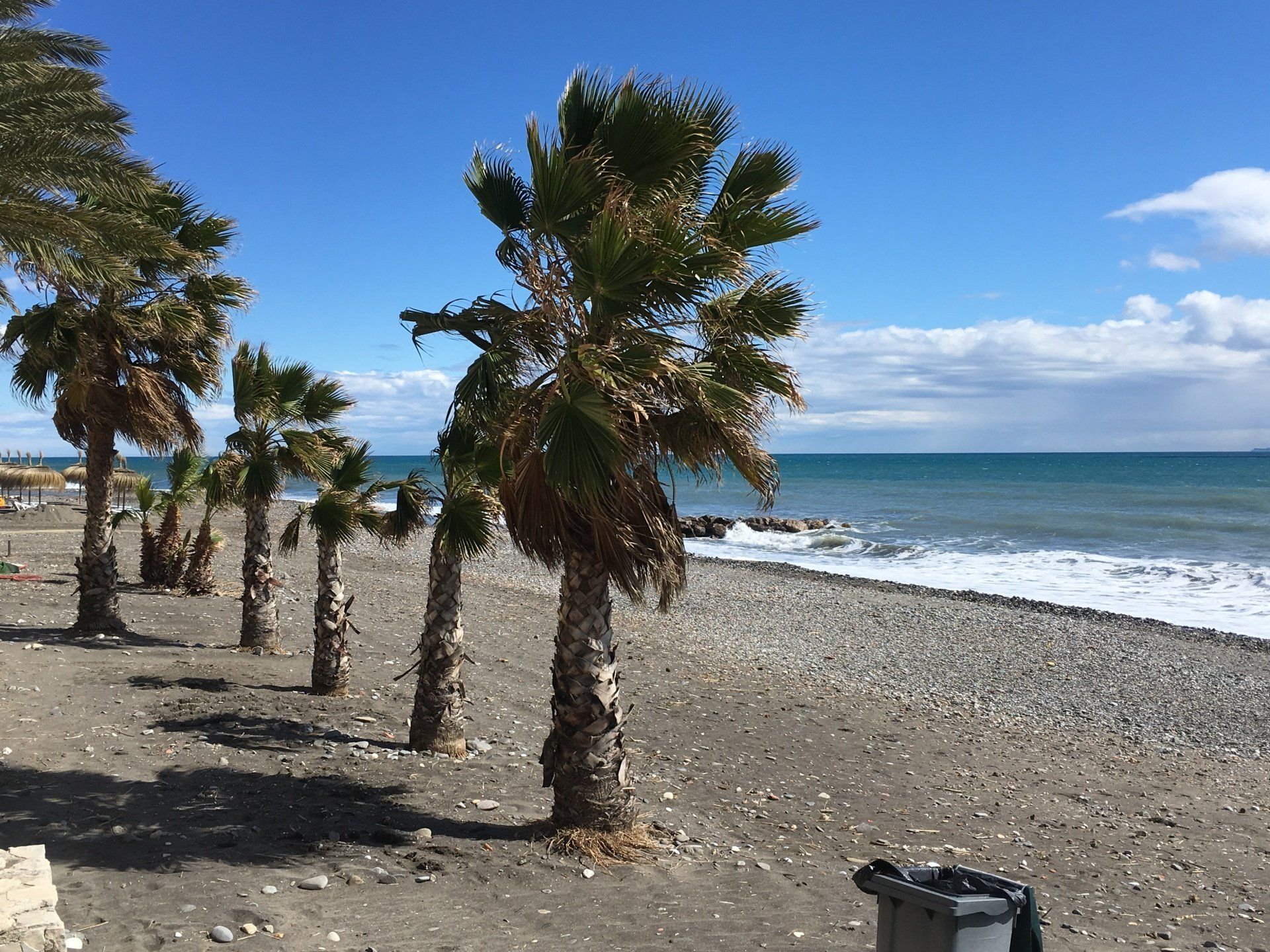 Palmen am Strand von Algarrobo-Costa