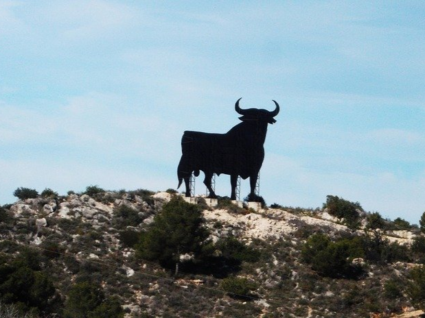 Der schwarze Osborne Stier