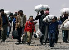 Need to flee