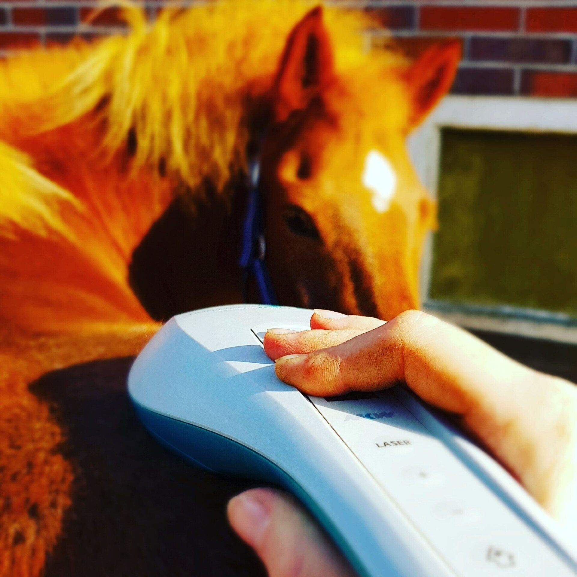 Lasertherapie Akupuntkur