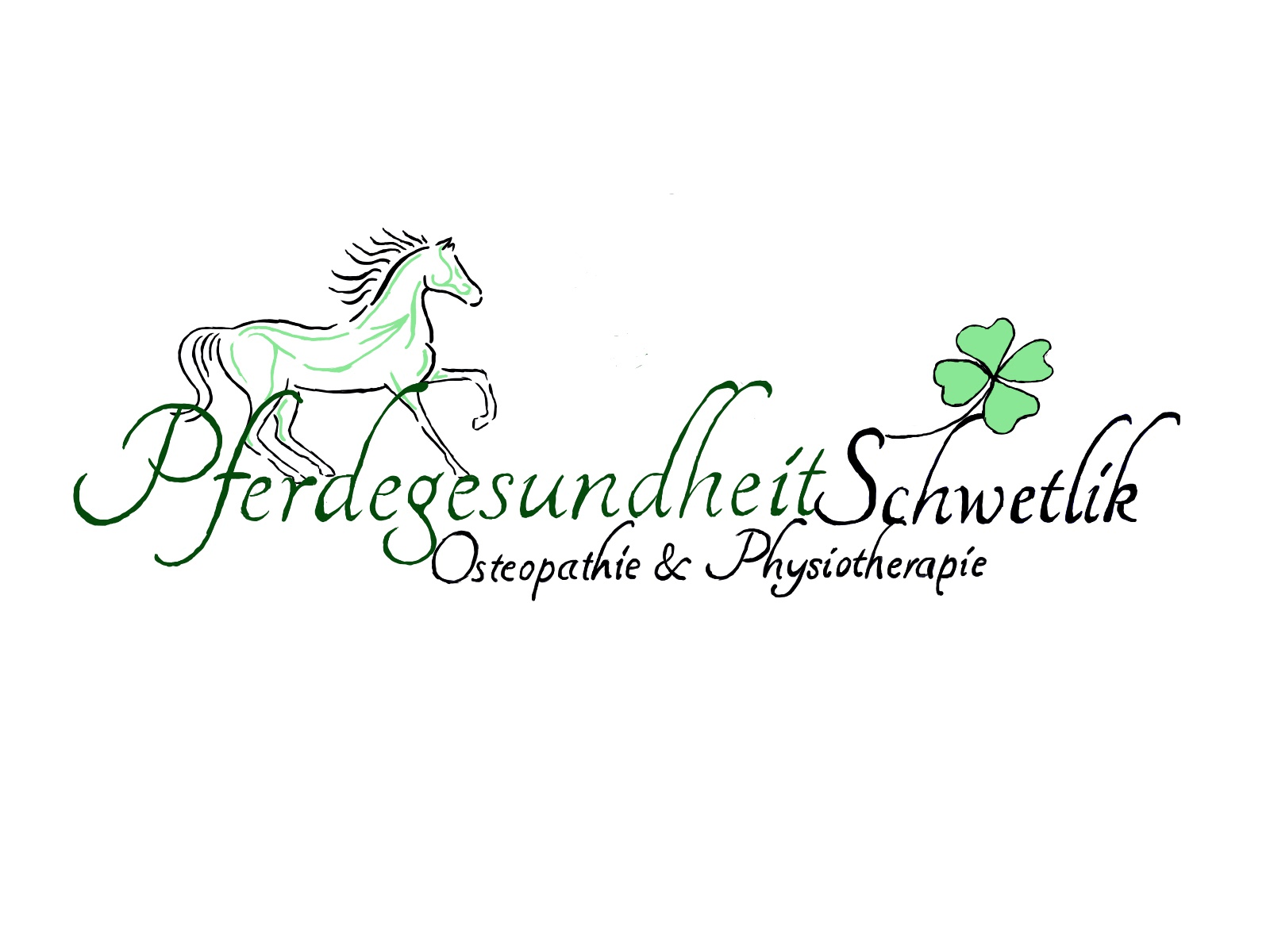 Startseite Pferdegesundheit Schwetlik