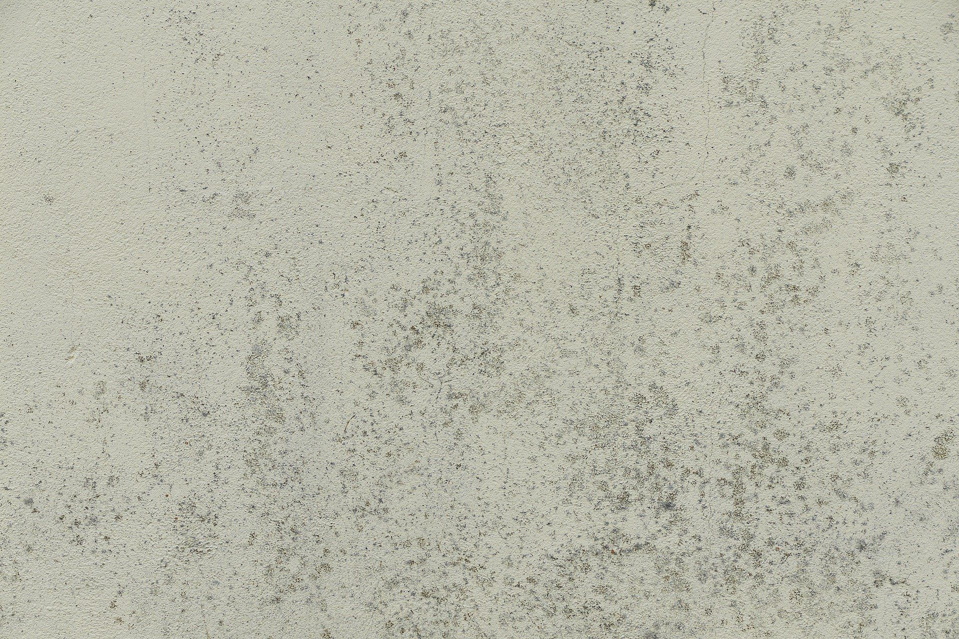 Come togliere la muffa dai muri prima di pitturare.