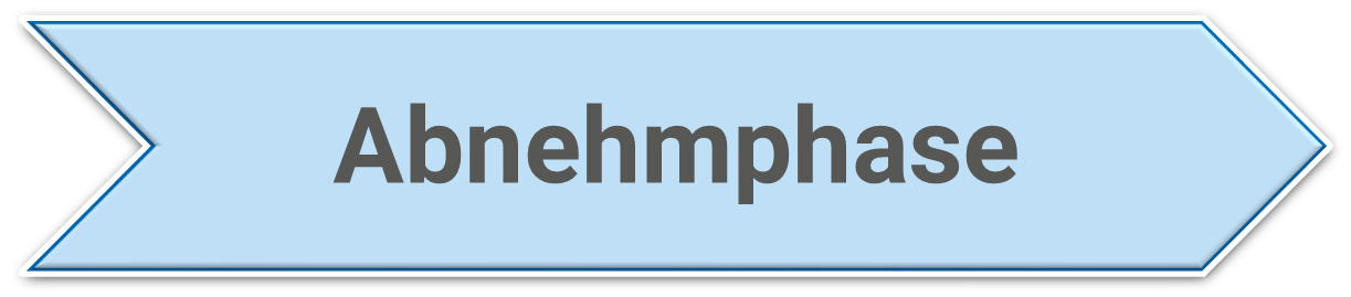 Ihr individuelles Konzept! Begleitung beim Abnehmen, leicht abnehmen, abnehmen mit Genuss, Hilfe beim Abnehmen