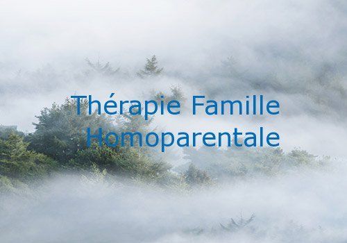 Thérapie famille homoparentale Thérapie famille homoparentale
