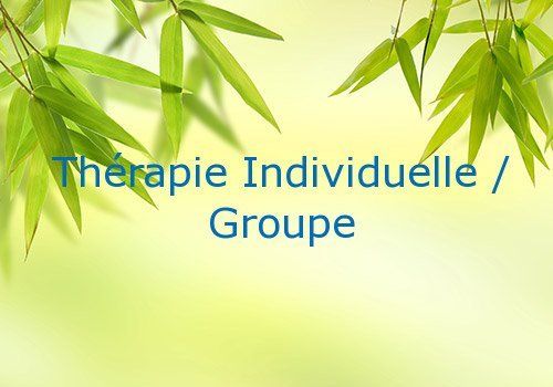 Thérapie individuelle Groupe Thérapie individuelle Groupe