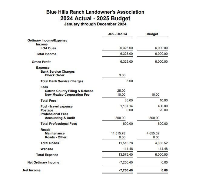 2024 Actual - 2025 Budget