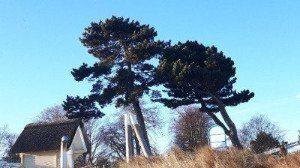 Promenade Scharbeutz