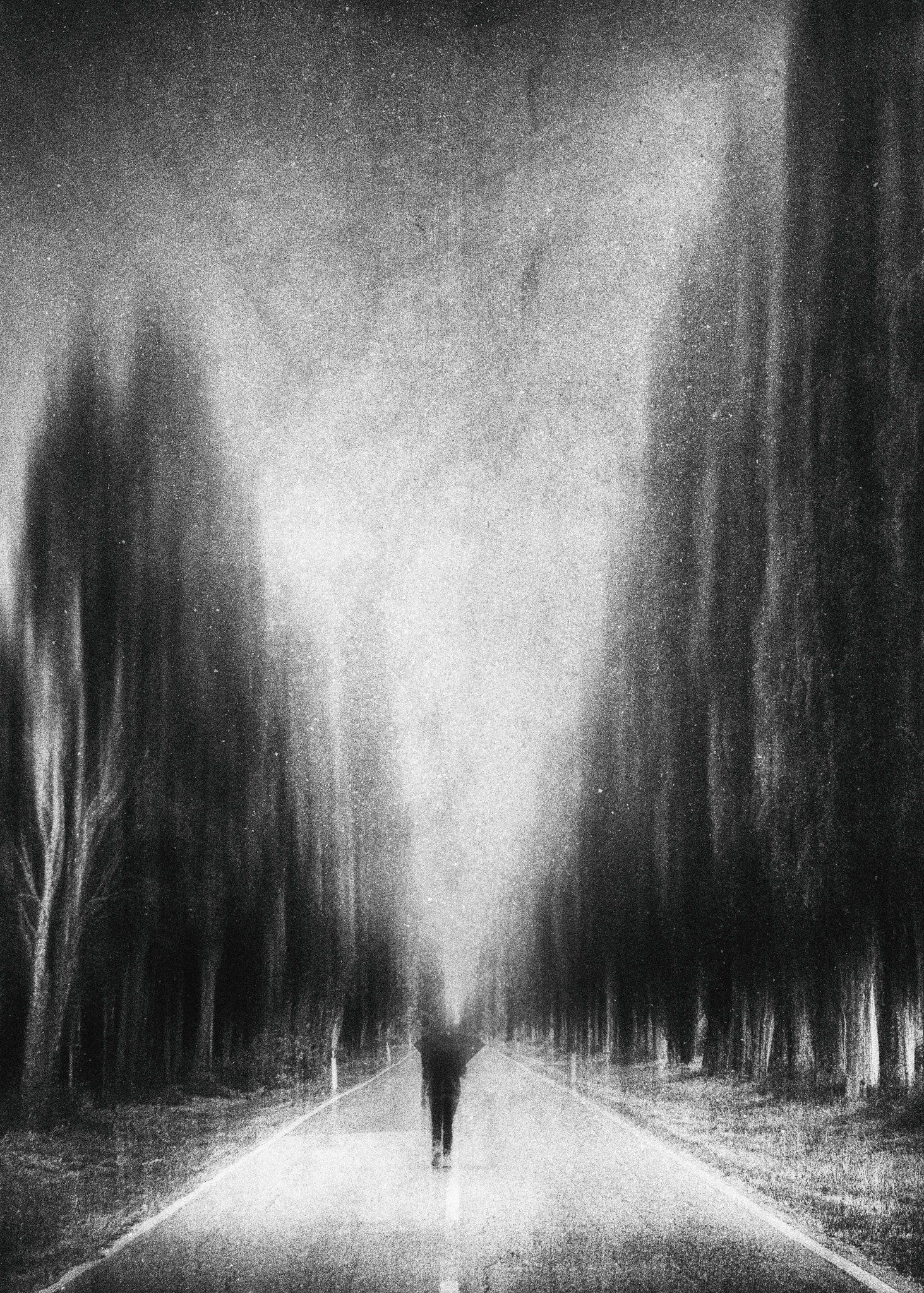 Ein regnerischer Tag in der Toskana. Eine Frau geht allein mit Regenschirm in der Hand auf der Zypressenallee von Bolgheri in der Toskana. Straßenfotografie aus Italien in schwarz und weiß.