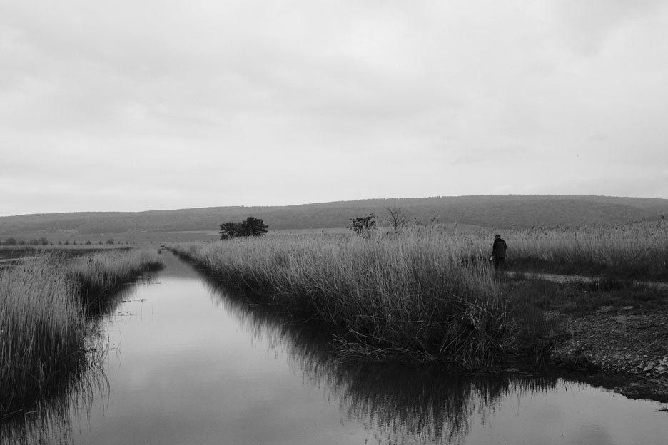 Schwarz weiß Street Photography - Spaziergang am mit Schilf bewachsenen Fluss