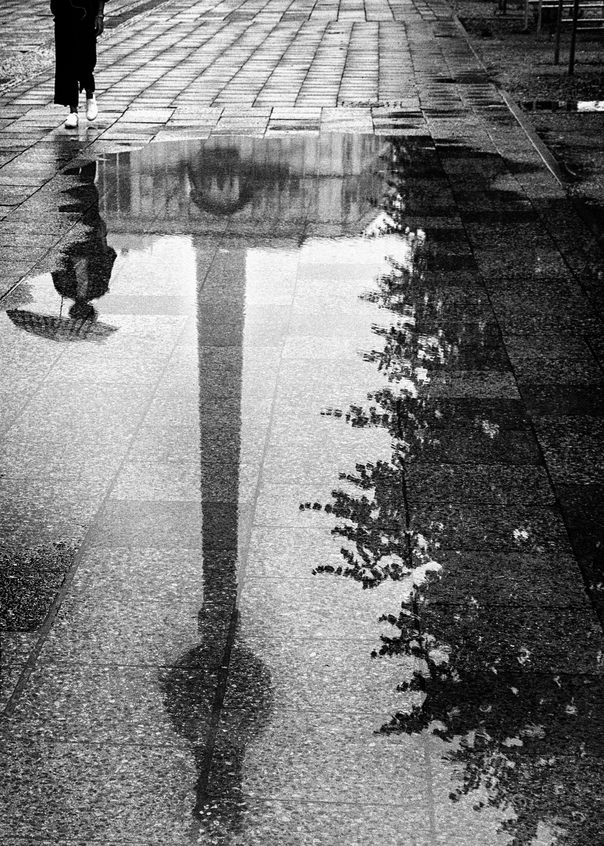 Eine Frau mit Regenschirm spiegelt sich auf einer Pfütze neben dem Berliner Fernsehturm. Straßenfotografie aus Berlin in schwarz weiss