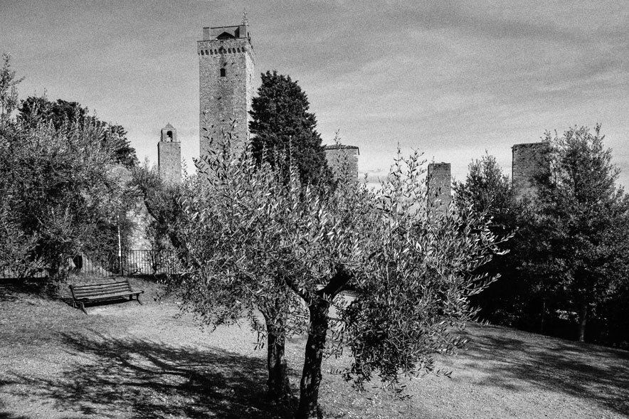 Blick aus einem kleinen Park mit Olivenbaum auf die Geschlechtertürme in San Gimignano. Schwarz weiß Fotografie aus der Toskana.