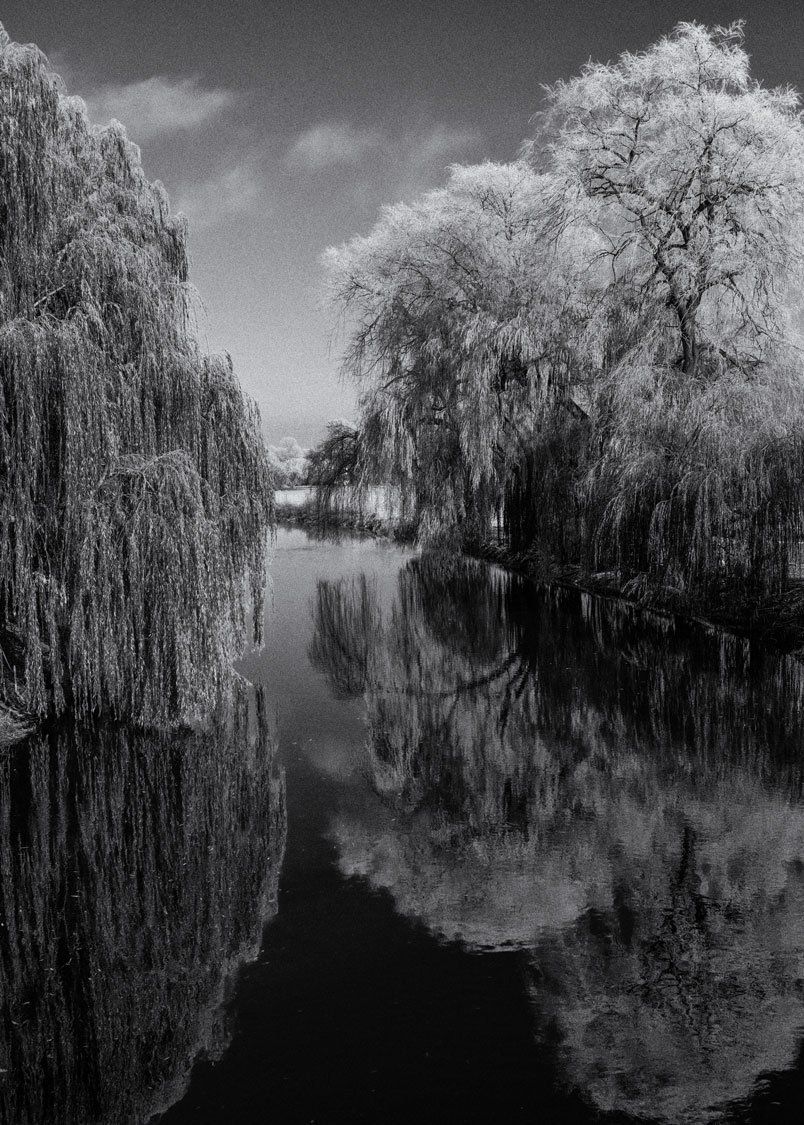 Blick auf den Fluß Unstrut an einem sonnigen Wintertag. Schnee bedeckt den Boden. Eine Trauerweide ragt weit über das Ufer. Die vereisten Baumkronen spiegeln sich im Wasser des Flusses. Landschaftsfotografie aus Thüringen in schwarz und weiß.