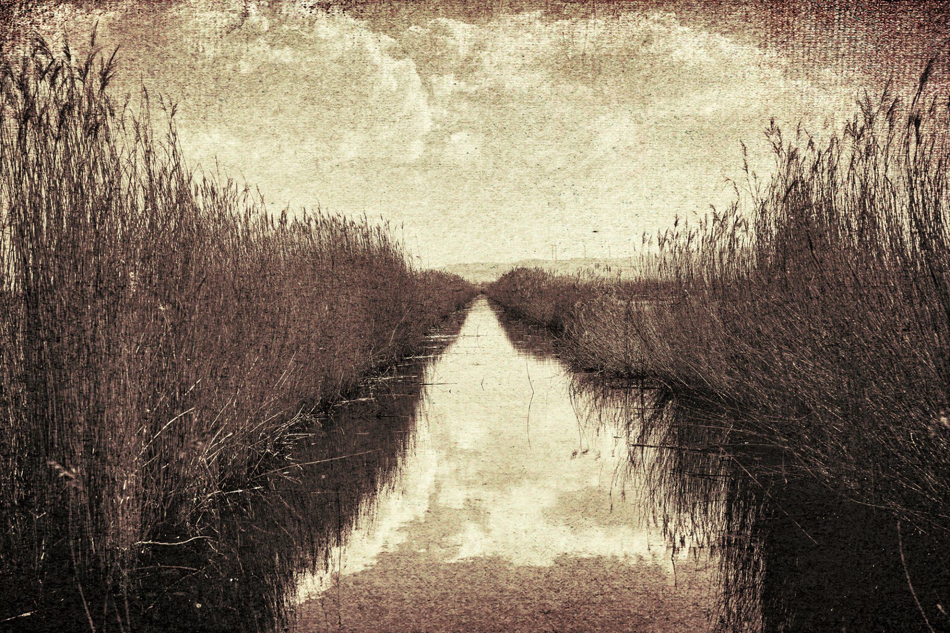 Schilf begrenzt einen Wassergraben im Esperstedter Ried. Wolken spiegeln sich auf der Wasseroberfläche. Monochrome Landschaftsfotografie aus Deutschland.