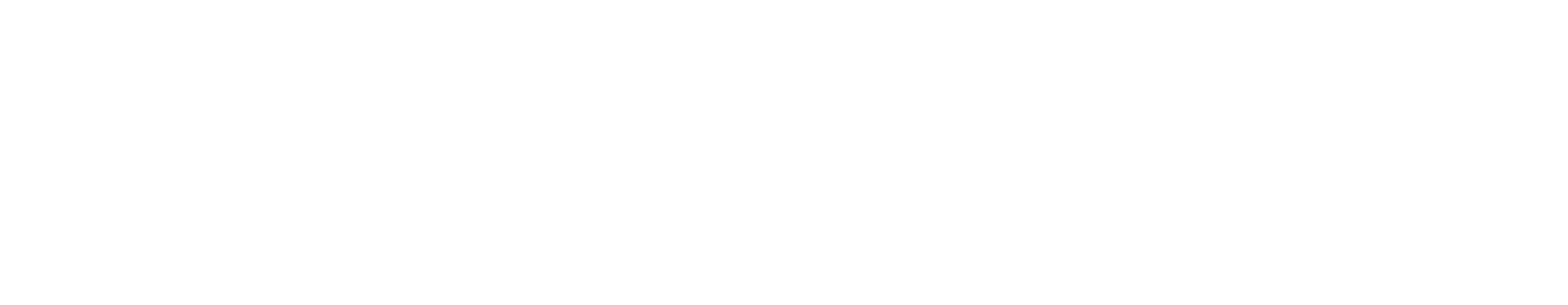 2-Rad Behringer Behringer Logo