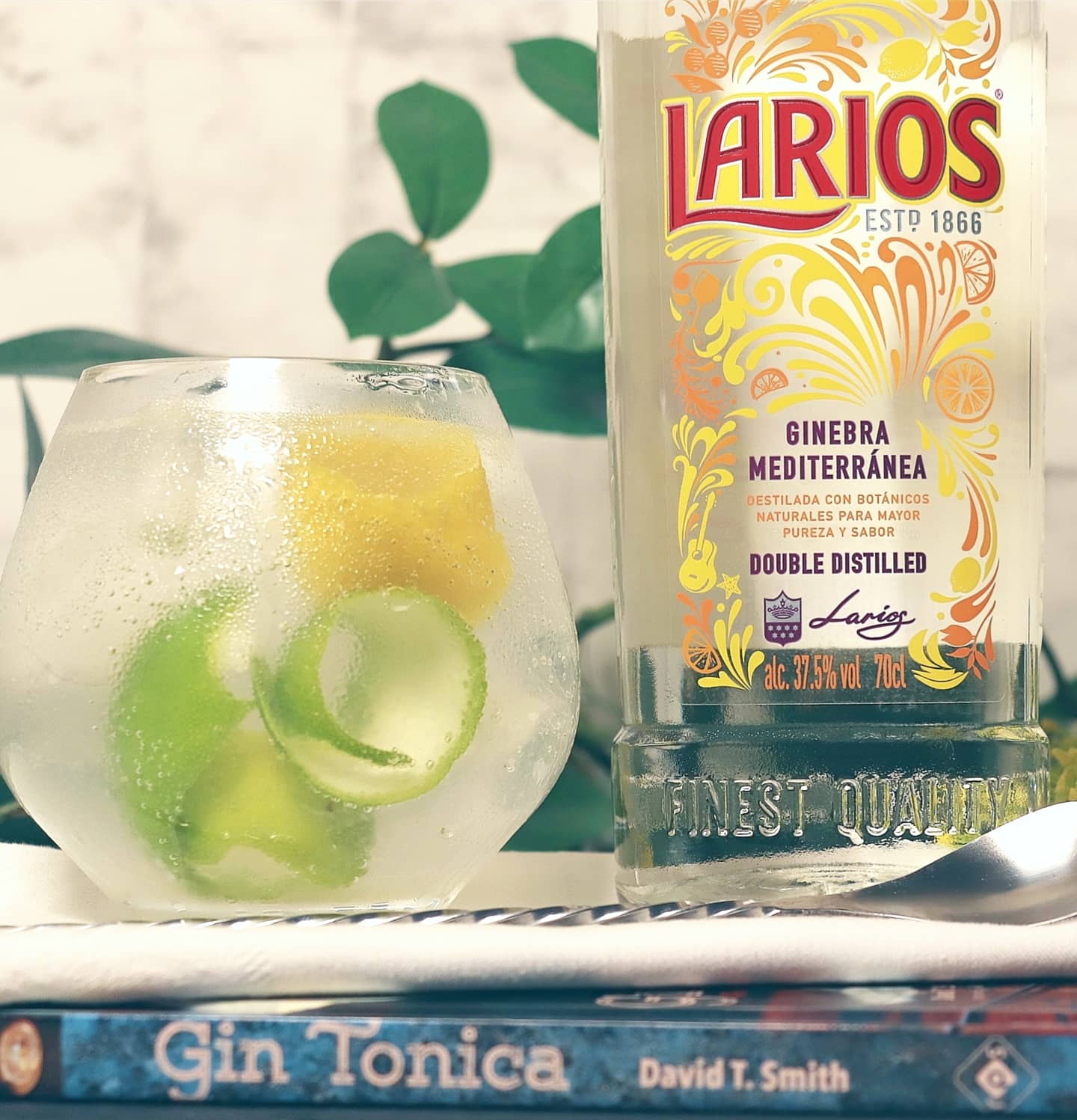 Larios Gin