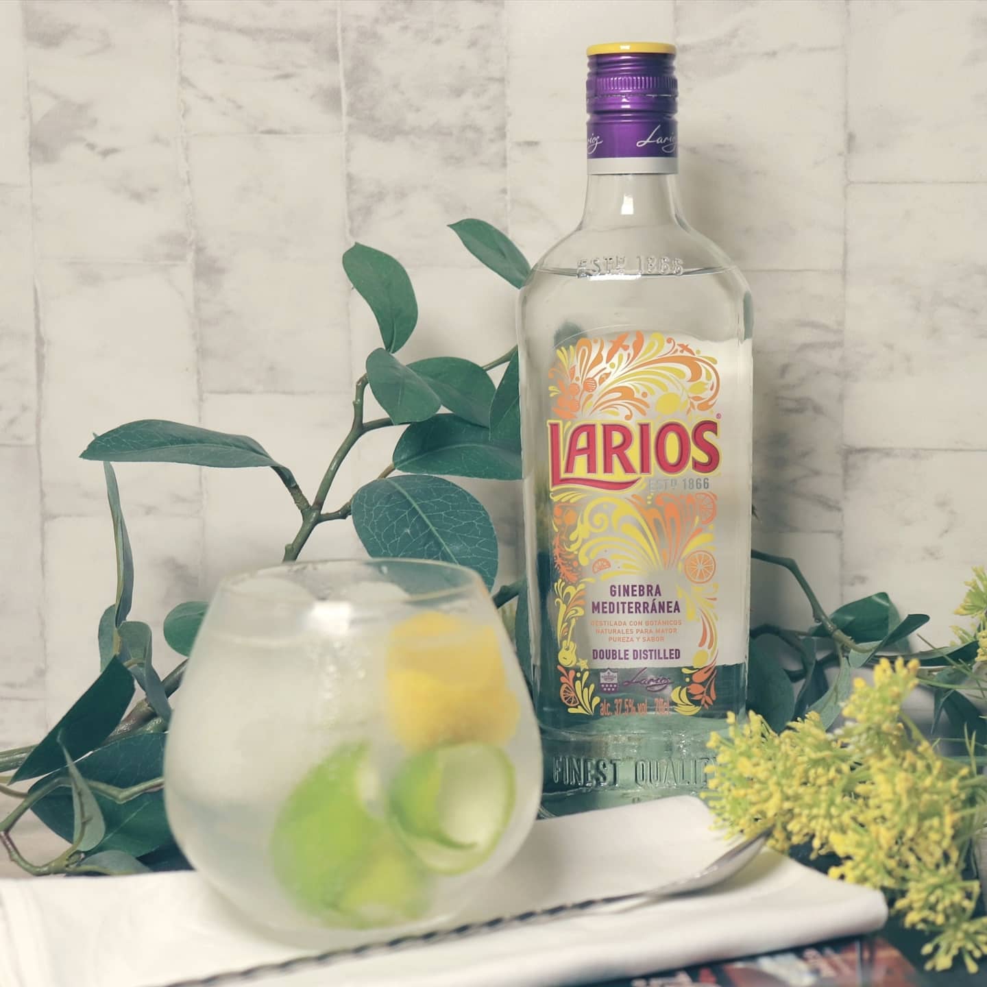 Larios Gin, Spain