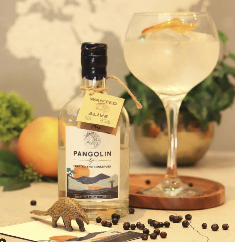 Pangolin Gin, Save the Pangolins, African inspired gin, British Gin