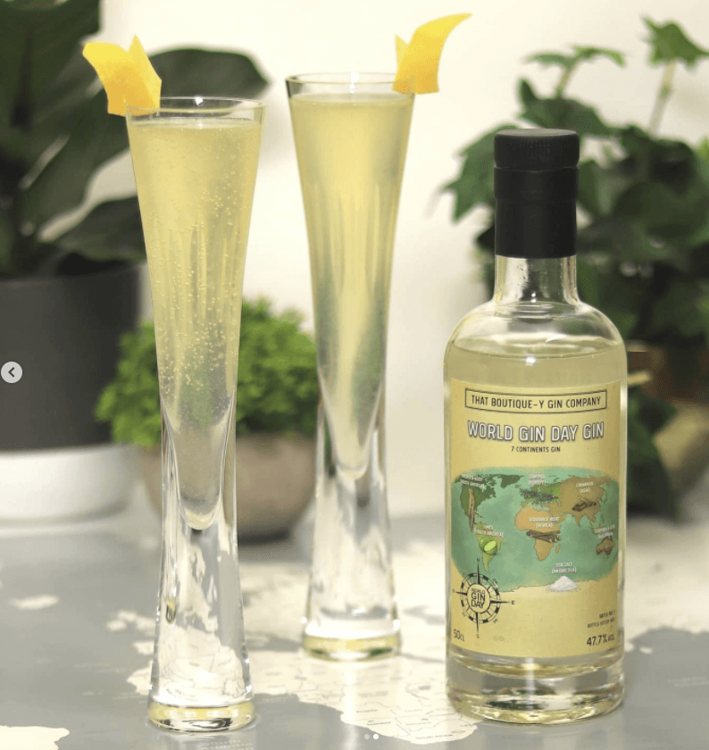 ROUND THE WORLD IN 80 GINS, That Boutique-Y Gin Company, World Gin Day Gin