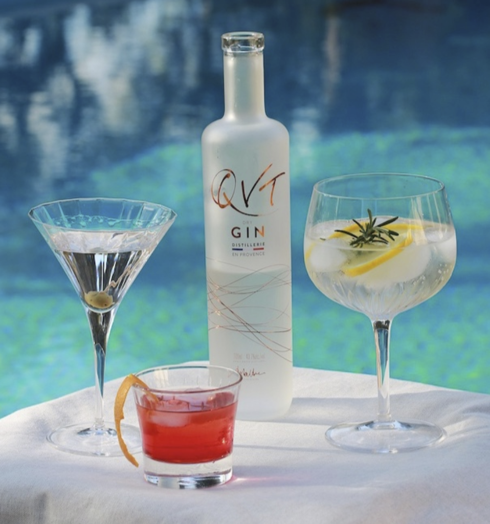 QVT gin, gin review, european gin, french gin, mediterranean gin, south of france, craft gin club, gin blogger, gin stories, interview with QVT, gin brands in provence