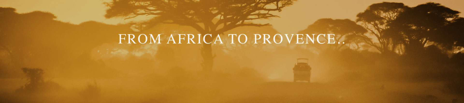 QVT gin, gin review, european gin, french gin, mediterranean gin, south of france, craft gin club, gin blogger, gin stories, interview with QVT, gin brands in provence