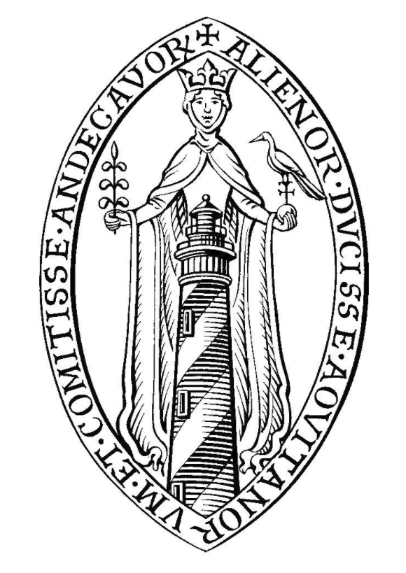 immortelle flowers, everlasting flowers, gin botanical, organic gin, melifera gin, french gin