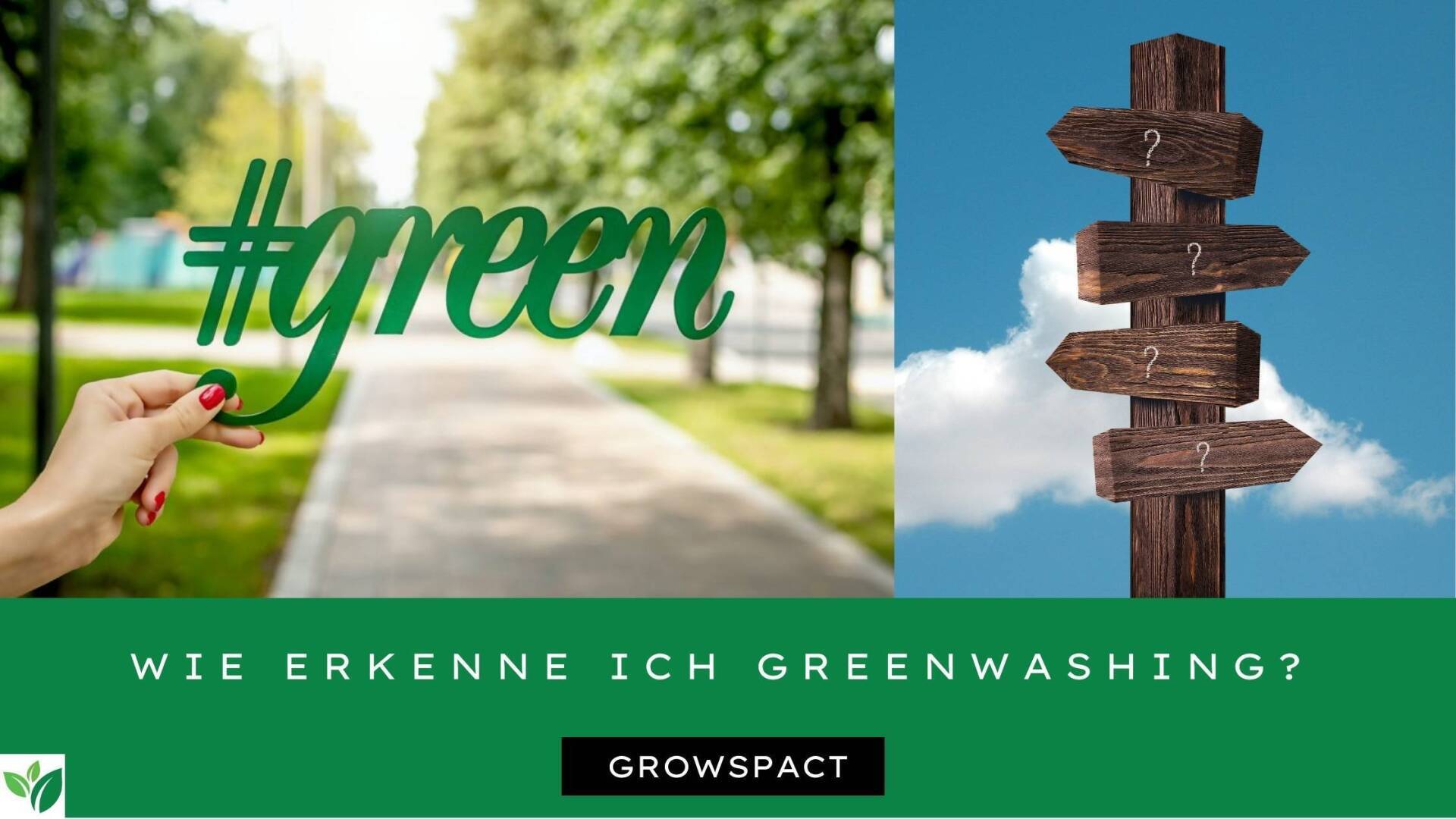 Wie erkenne ich Greenwashing