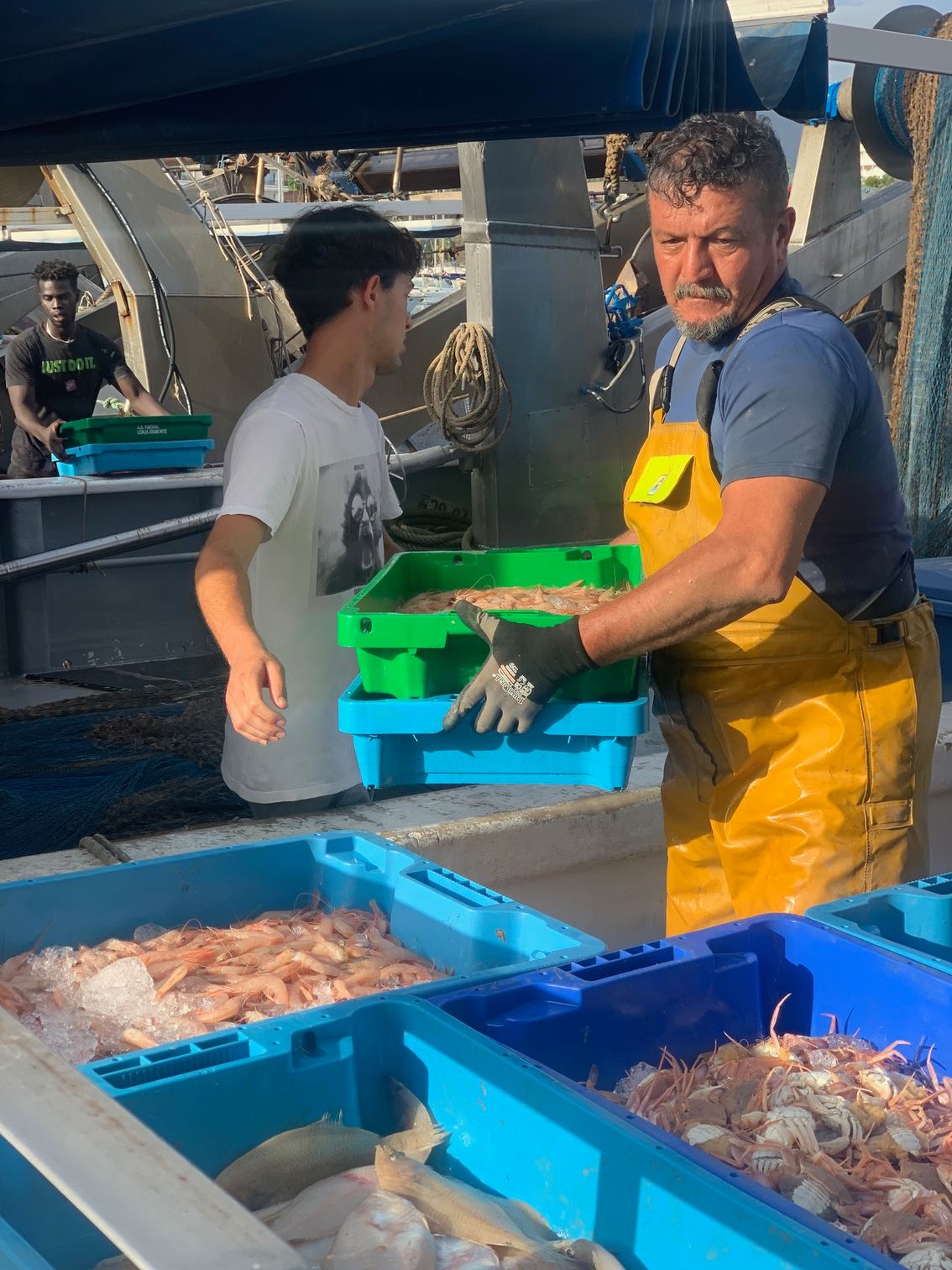 Lonja de pescado y subasta de La Vila Joiosa