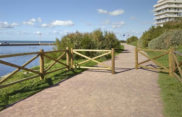 Tanca fusta arbreda de Tancaments Vadía Tanca fusta arbreda de Tancaments Vadía