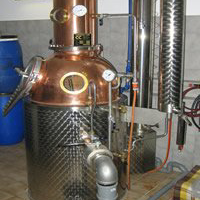 Frische Früchte aus der Region Wiesen – die Grundlage für unsere edlen Brände und Liköre