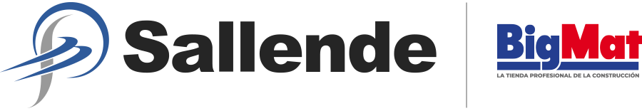 Logo BigMat Sallende