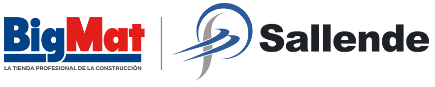 Logo BigMat Sallende en color