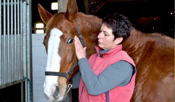 Tierarztbehandlung im Reitstall
