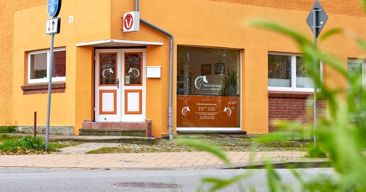 Bild: Praxisgebäude Warener Chaussee 1 Praxisgebäude Tierarzt Warener Chaussee 1 Penzlin