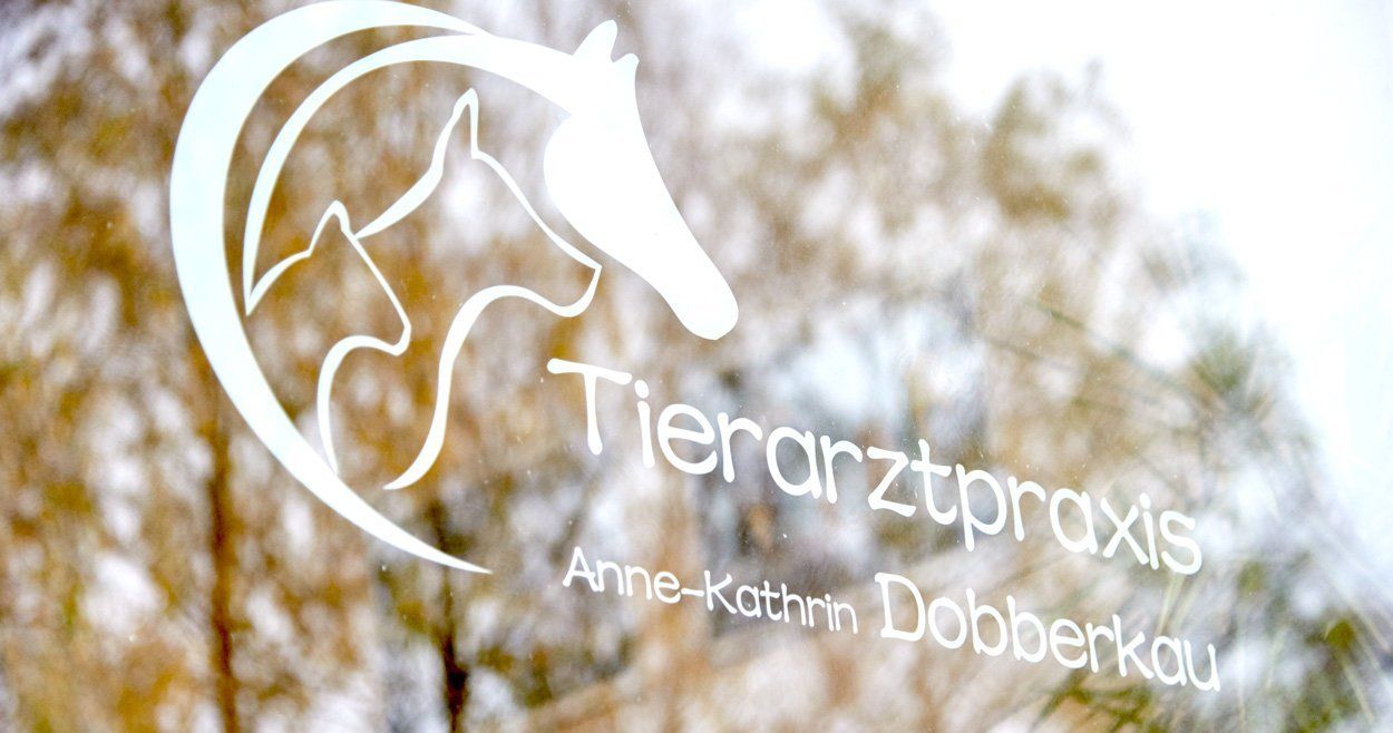 Bild: Praxis Warener Chaussee 1 Scheibenbeschriftung Praxis Tierarzt Warener Chaussee 1 Penzlin