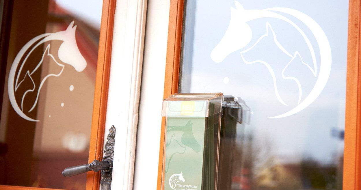 Bild: Praxisgebäude Warener Chaussee 1 Eingang Praxisgebäude Warener Chaussee 1 Penzlin