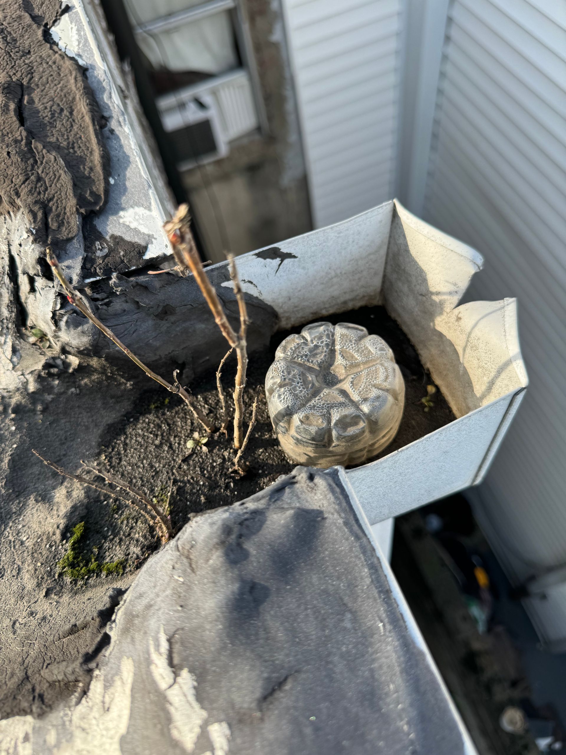 Flat roof drain box replacement Philadelphia