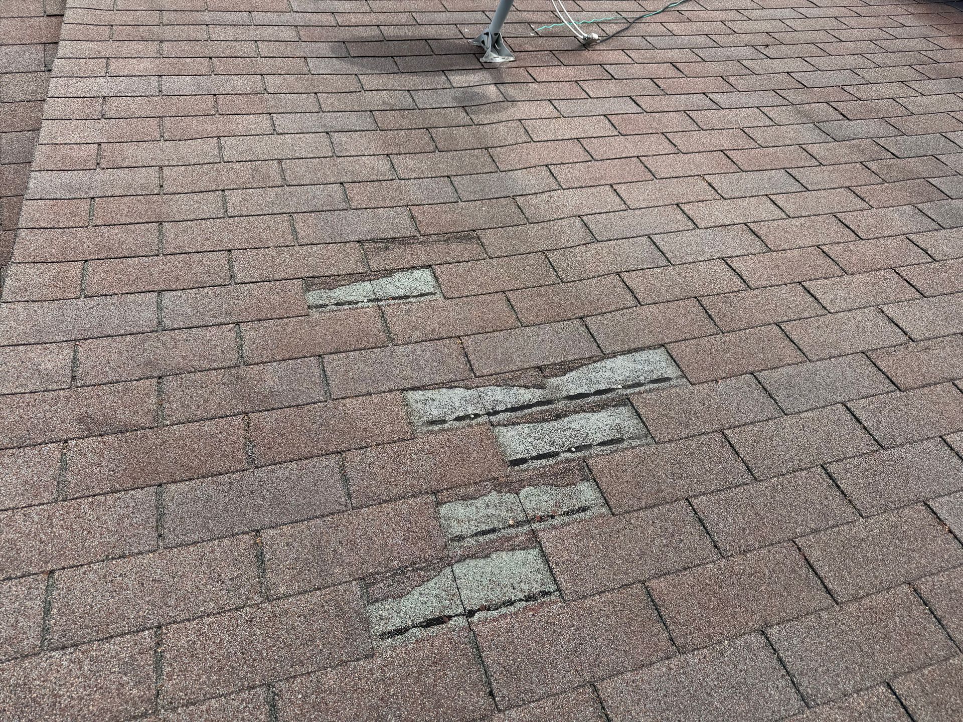 Missing shingle tabs on roof in Philadelphia