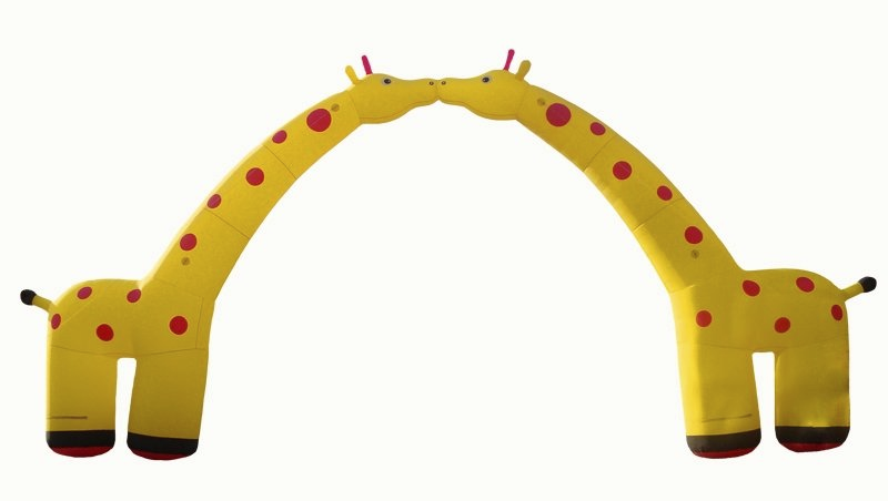 arco forma personalizada arco forma personalizada