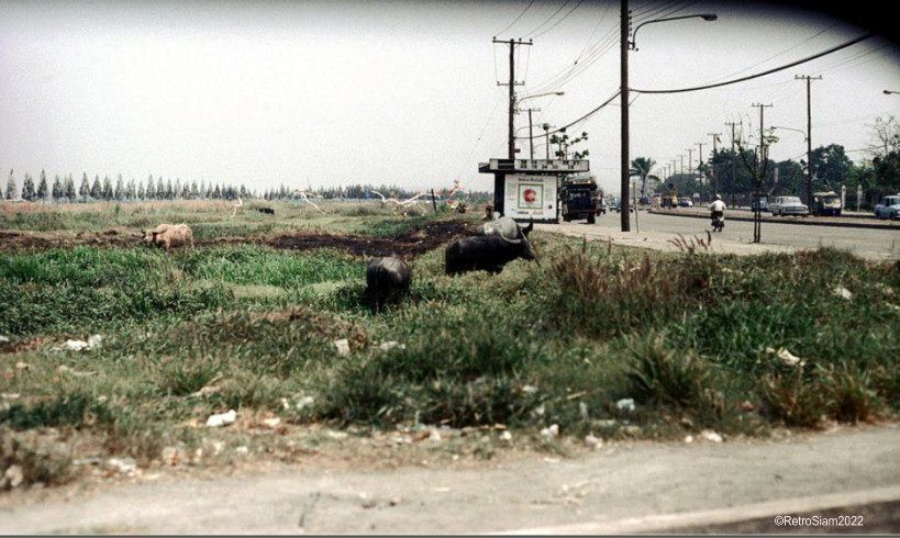 Areal 1972