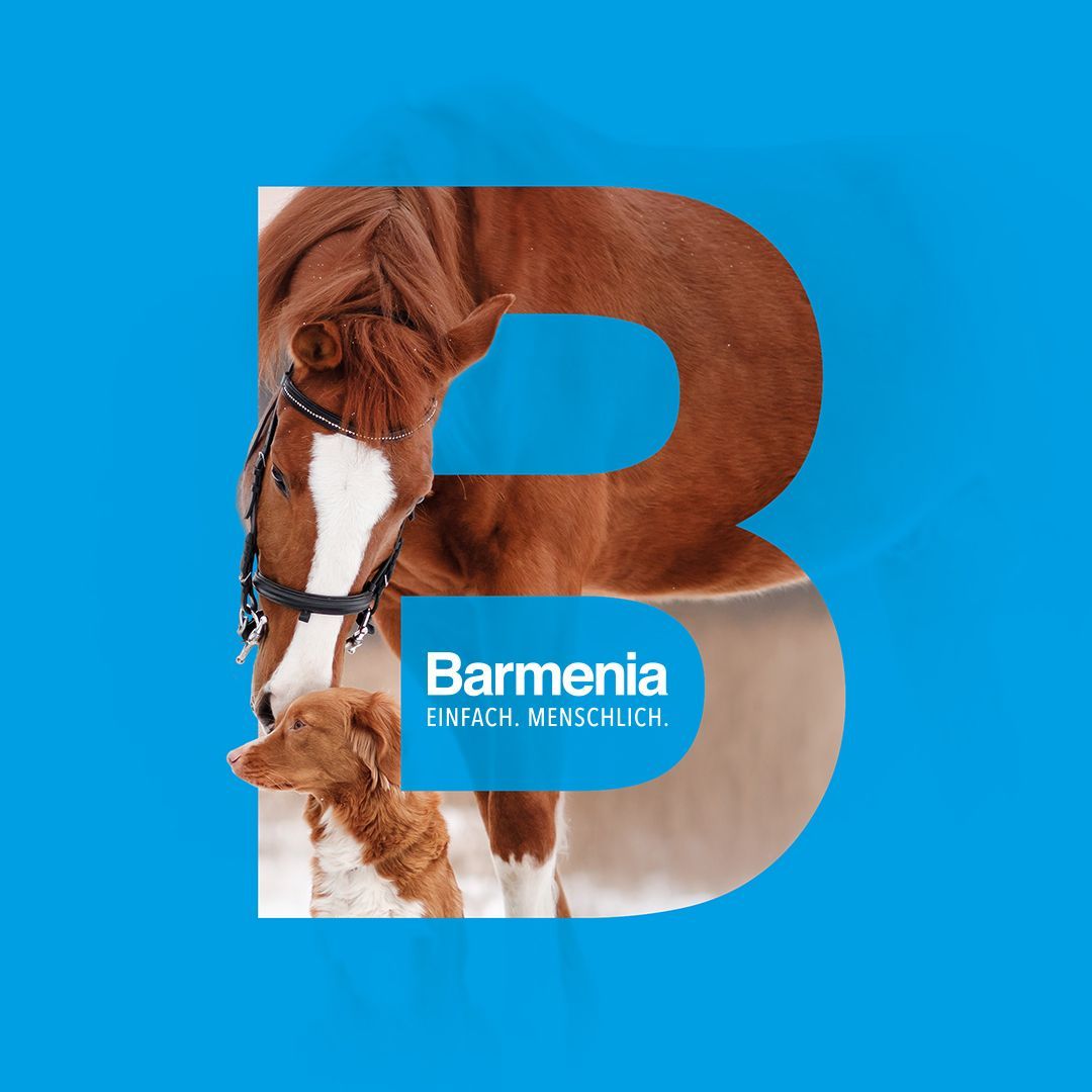 Pferd und Hund Barmenia