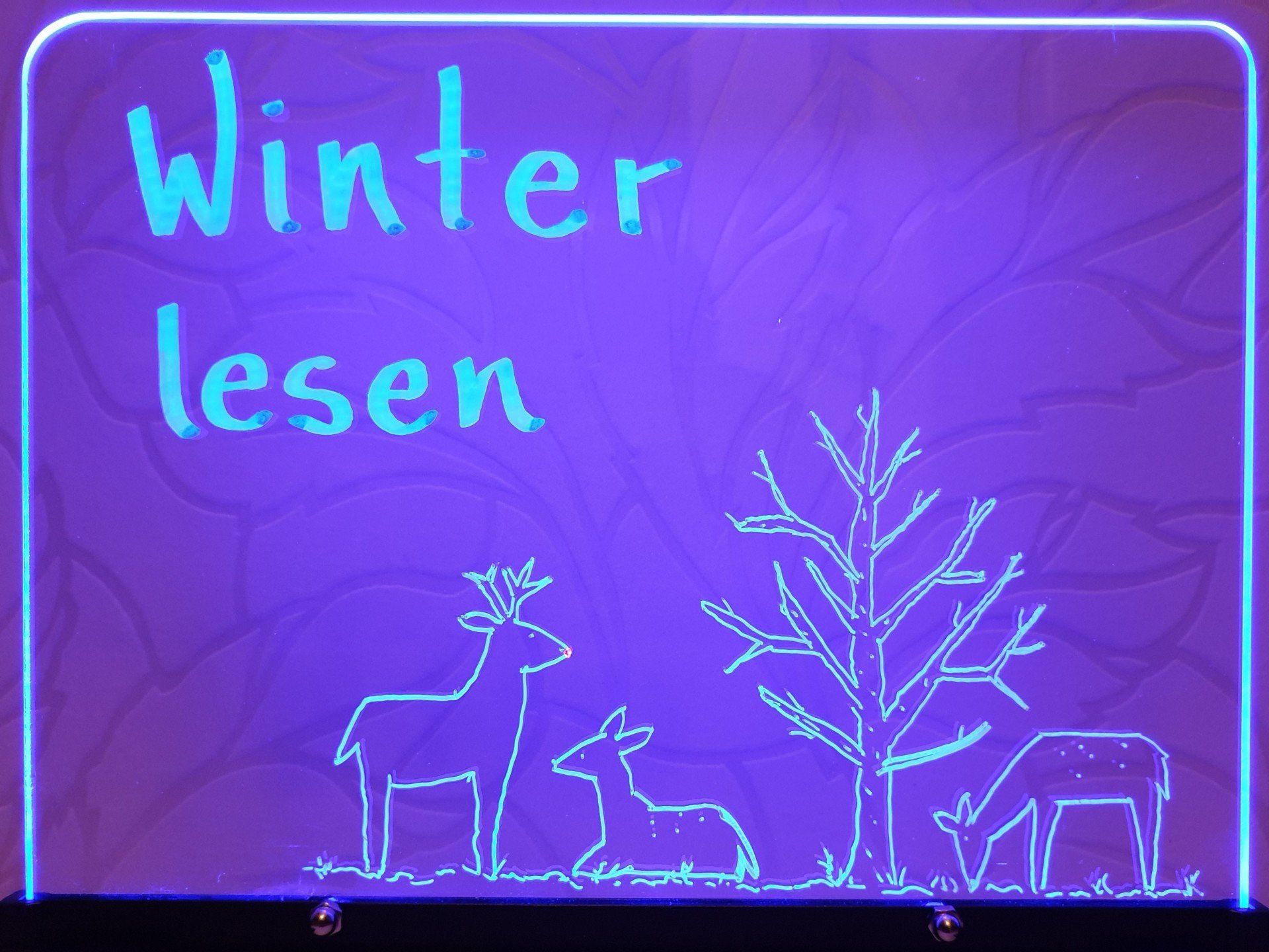 Veranstaltung: Winter lesen 2019 [Foto: Kar-Hong Lau] Förderverein Schönes Mainz-Bretzenheim