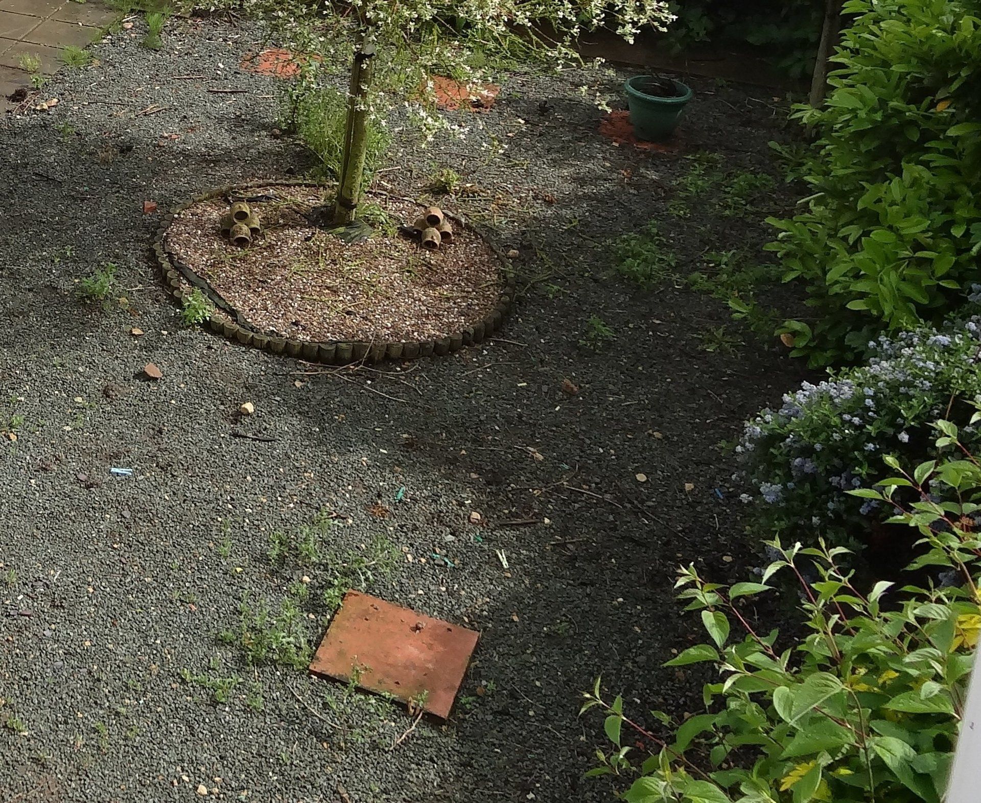 Where you want it to be?? Paving